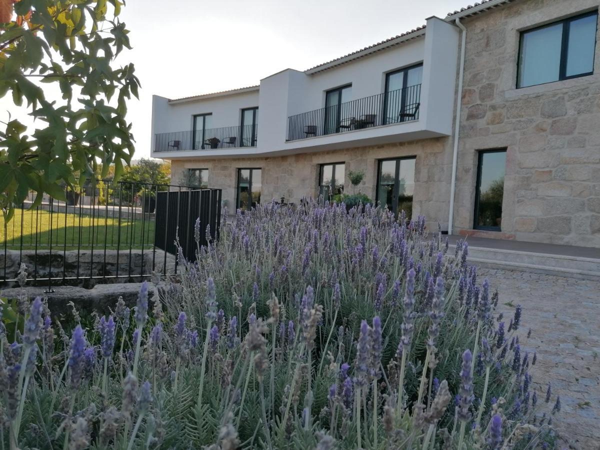 Carvalhal Redondo - Farm House Castelo Novo Екстер'єр фото