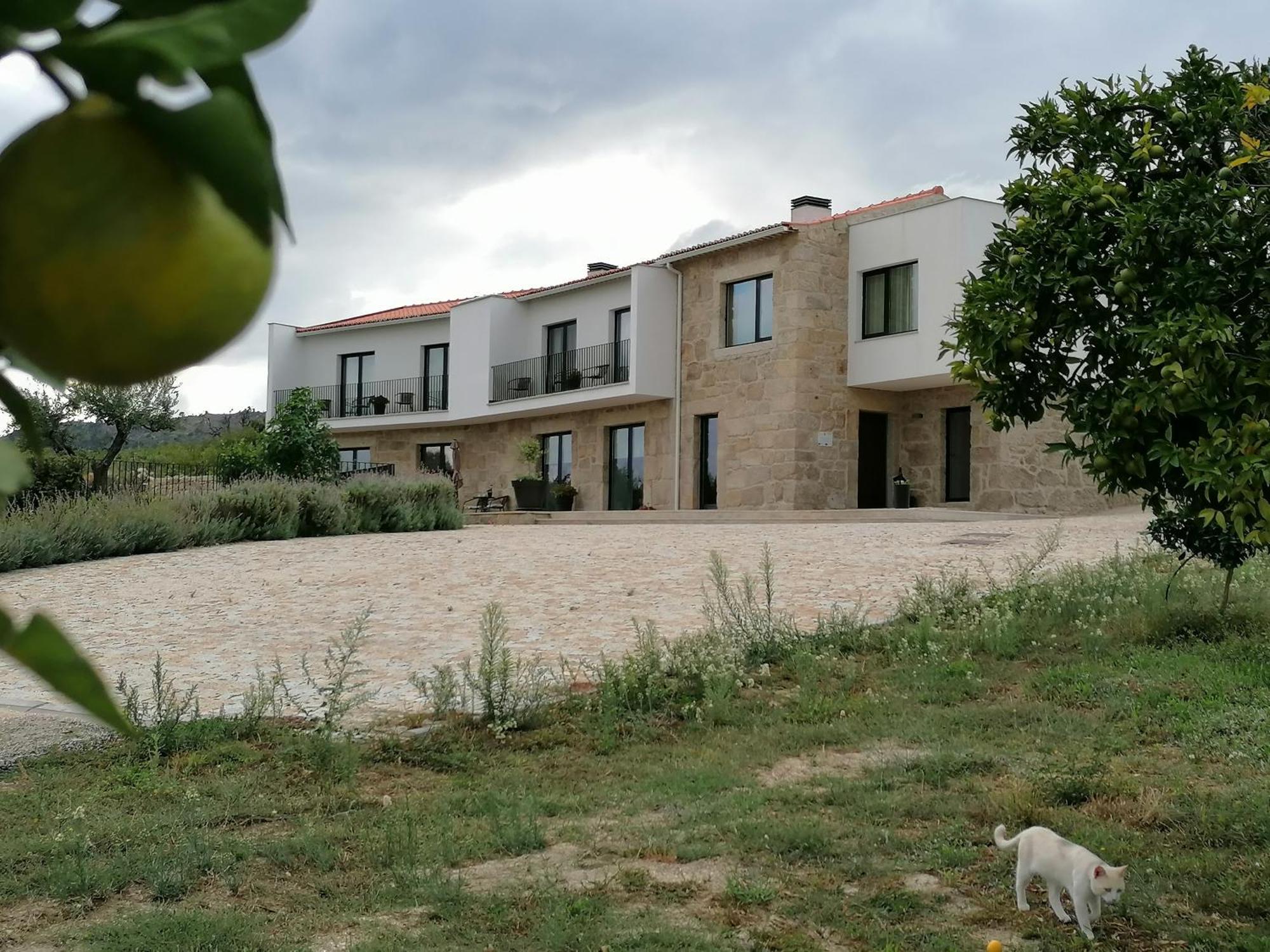 Carvalhal Redondo - Farm House Castelo Novo Екстер'єр фото